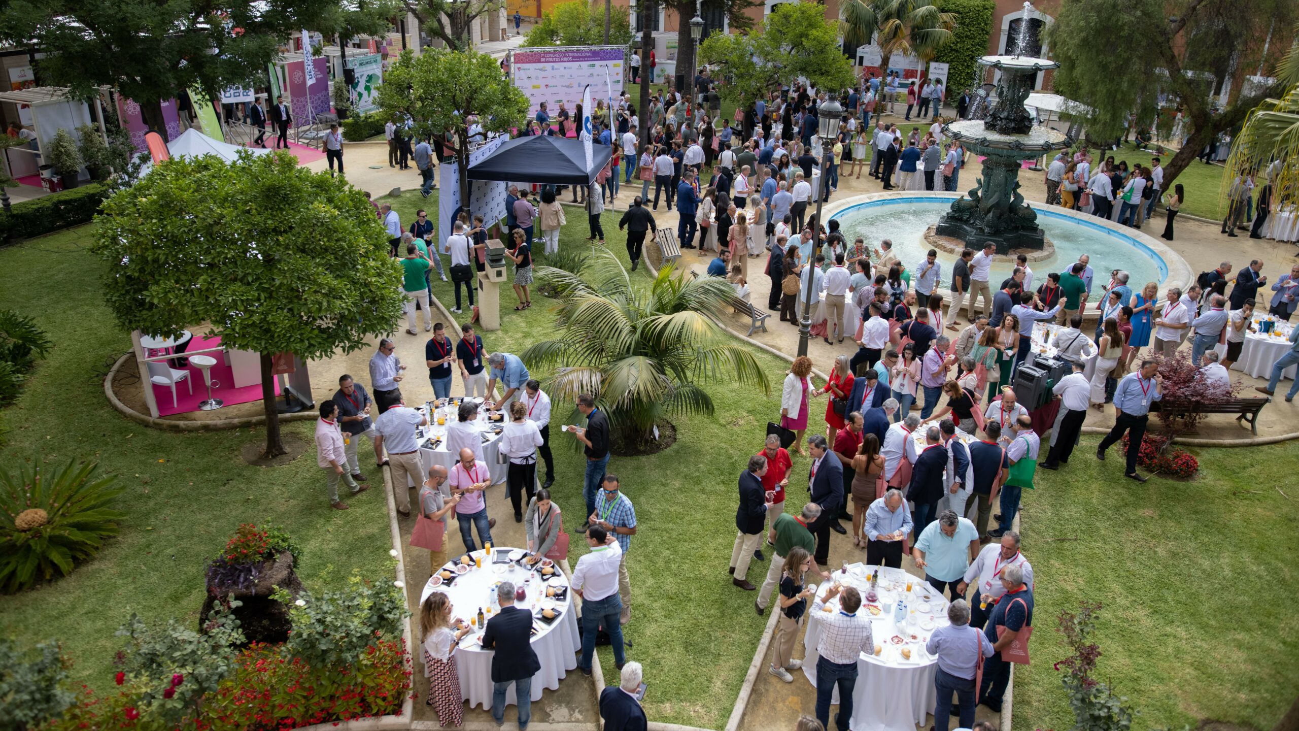 congreso-frutos-rojos-huelva|congreso-frutos-rojos-huelva|congreso-frutos-rojos-huelva|congreso-frutos-rojos-huelva